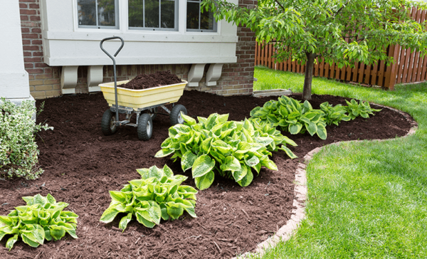 Earth_Products-Featured-Bark_Mulch_and_Loom